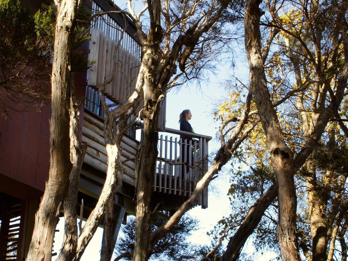 Hapuku Lodge And Tree Houses Kaikoura Exterior foto